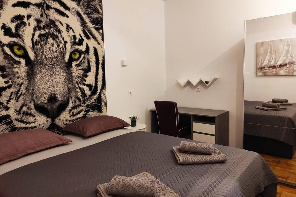 Spacious Apartment Near City Center And The Beach Split Ngoại thất bức ảnh