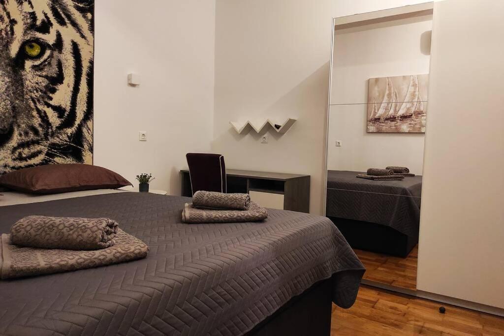 Spacious Apartment Near City Center And The Beach Split Ngoại thất bức ảnh