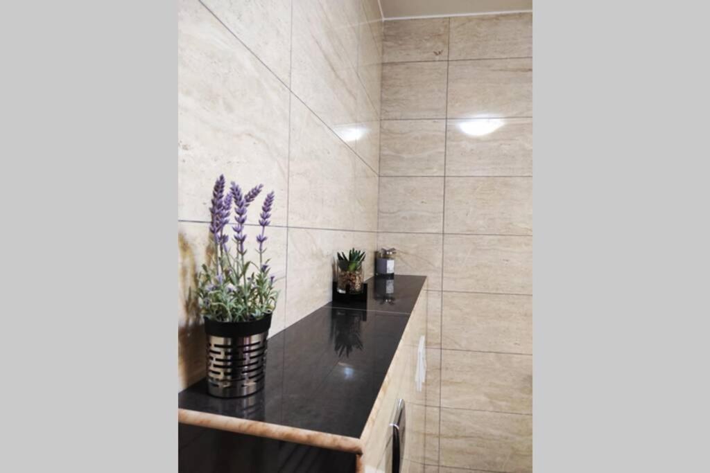 Spacious Apartment Near City Center And The Beach Split Ngoại thất bức ảnh