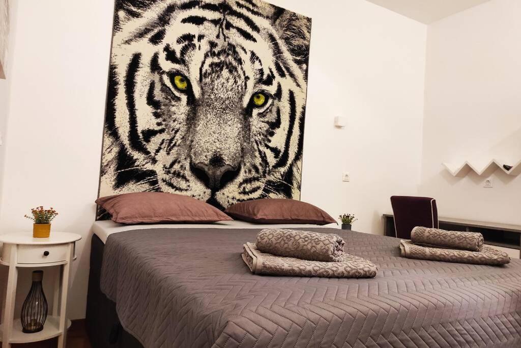 Spacious Apartment Near City Center And The Beach Split Ngoại thất bức ảnh